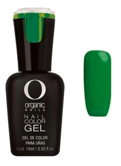 COLOR GEL ORG 169 FOREST 15 ML